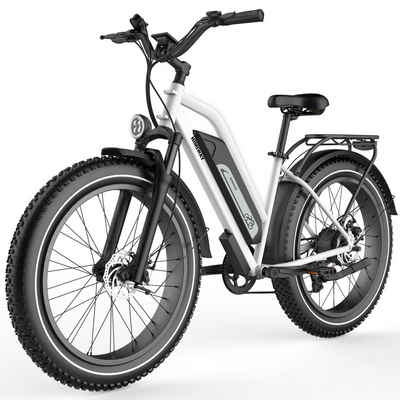 DOTMALL E-Bike E-Bike Himiway 250W Motor 25 Km/h, E-Mountainbike mit 48V 17,5Ah, 7 Gang
