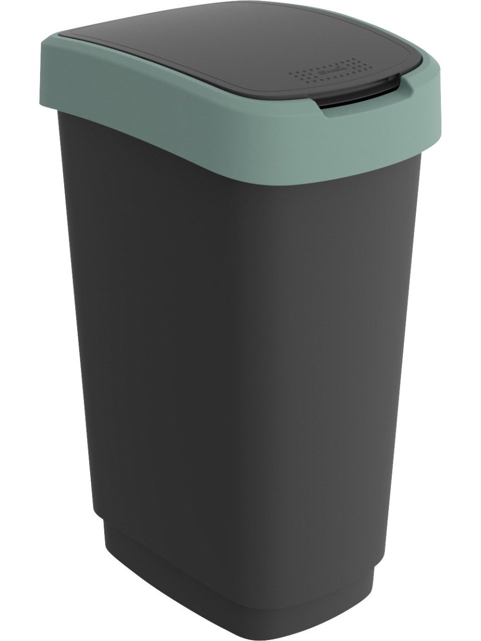 ROTHO Mülleimer Rotho Swingeimer Twist 10 L schwarz misletoe green