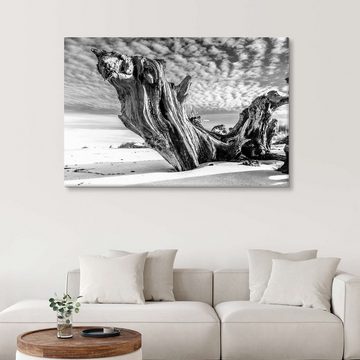Posterlounge Leinwandbild Sascha Kilmer, Ostseestrand mit alter Baumwurzel (schwarz weiß), Badezimmer Rustikal Fotografie