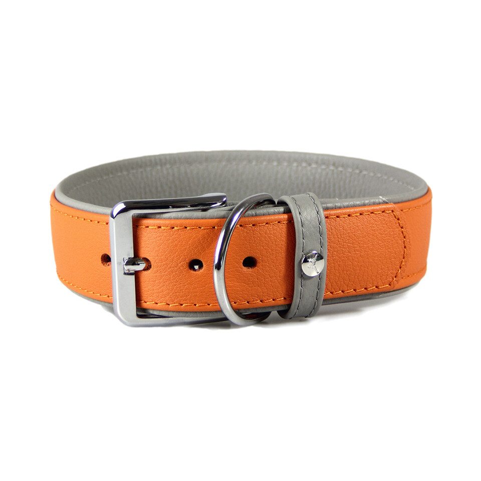 Das Lederband Hunde-Halsband Hundehalsband New York orange/stone