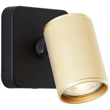 Lightbox Deckenleuchte, LED wechselbar, warmweiß, Wandspot schwenkbar, 12x10x10cm, GU10, 345lm, 3000K, schwarz/matt gold