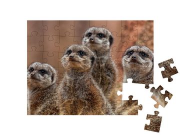 puzzleYOU Puzzle Eine Gruppe von niedlichen Erdmännchen, 48 Puzzleteile, puzzleYOU-Kollektionen Erdmännchen, Tiere in Savanne & Wüste