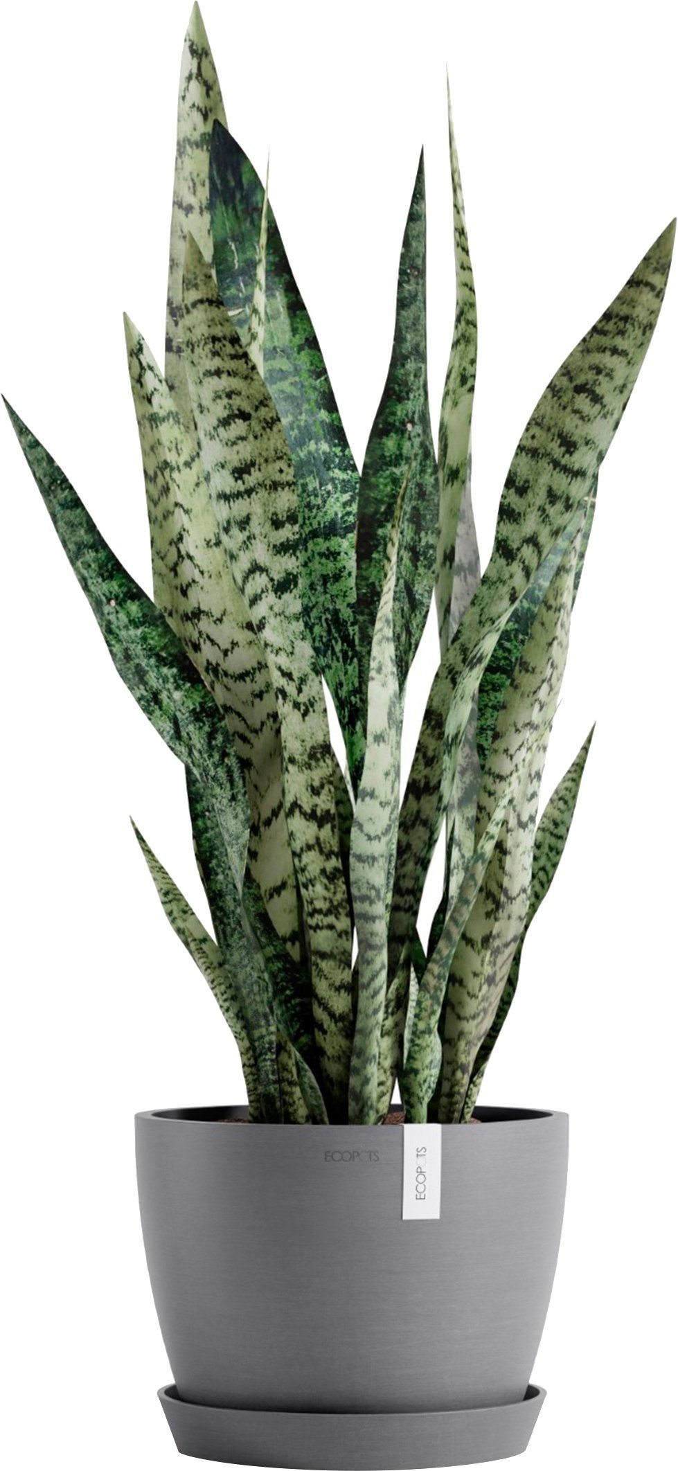 ECOPOTS Blumentopf Stockholm 24 Grau, für günstig online kaufen
