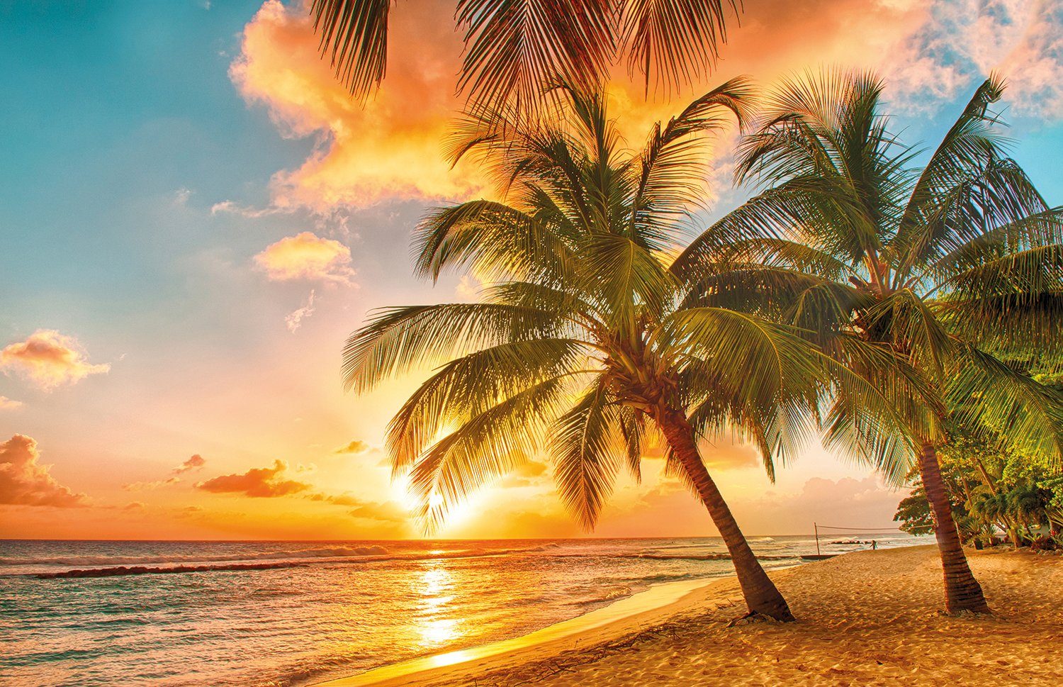 Papermoon Fototapete »Barbados Palm Beach«, glatt-HomeTrends