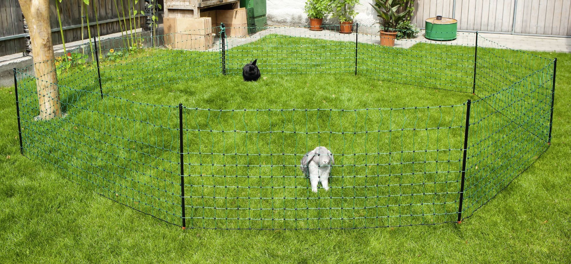 Kerbl Weidenzaun Kaninchennetz 50mtr, 65 cm Einzelspitze, grün