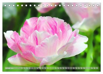 CALVENDO Wandkalender Blumenfeier (Tischkalender 2024 DIN A5 quer), CALVENDO Monatskalender