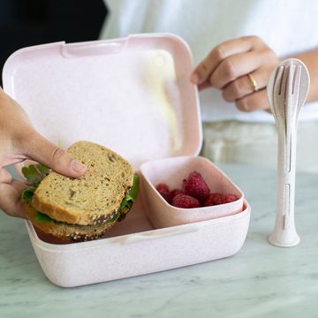 KOZIOL Lunchbox Lunchbox-Set + Besteck-Set CANDY READY, Kunststoff, (Set, 3-tlg), spülmaschinengeeignet,melaminfrei,recycelbar, CO² neutrale Produktion
