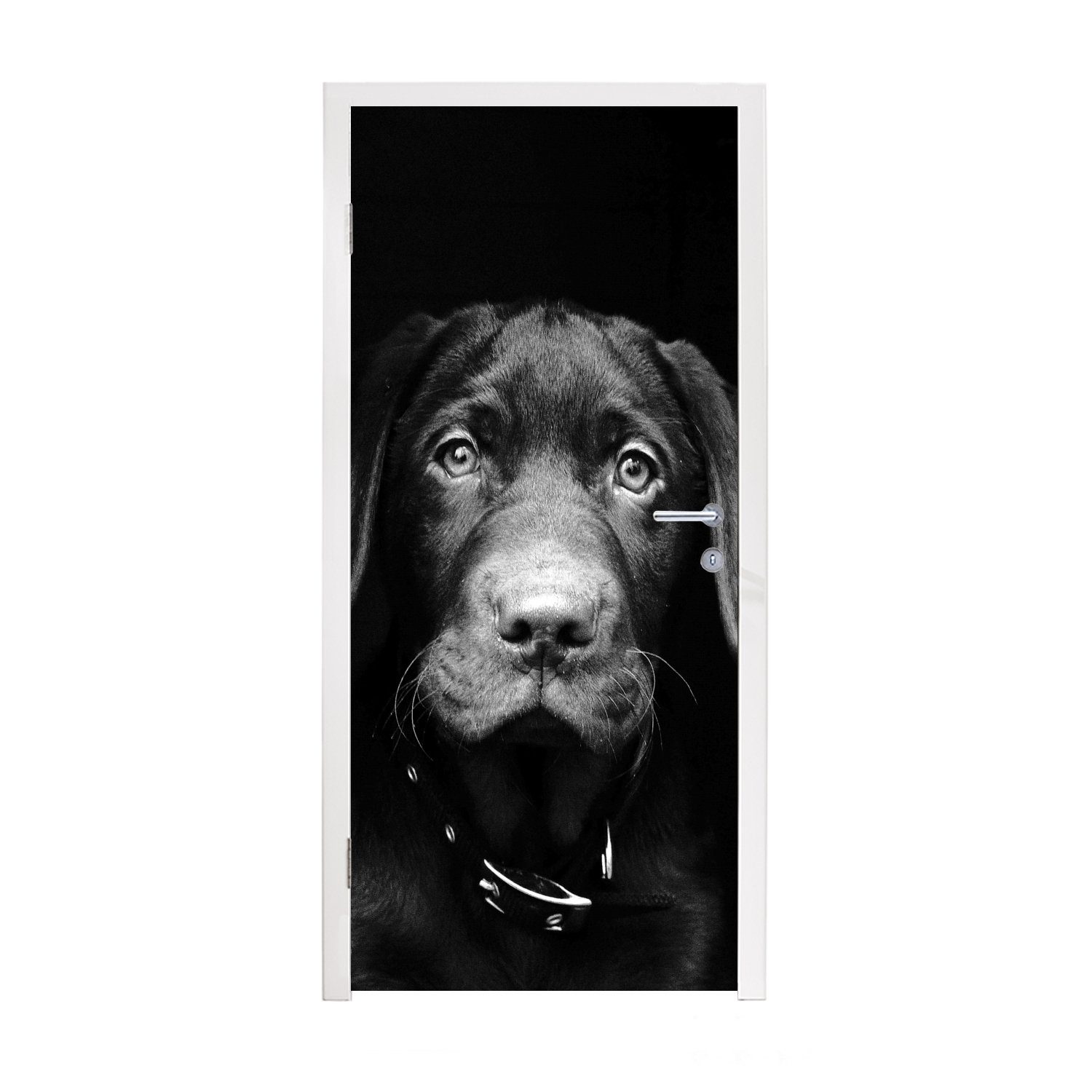 MuchoWow Türtapete Tierprofil Hund in schwarz und weiß, Matt, bedruckt, (1 St), Fototapete für Tür, Türaufkleber, 75x205 cm | Türtapeten