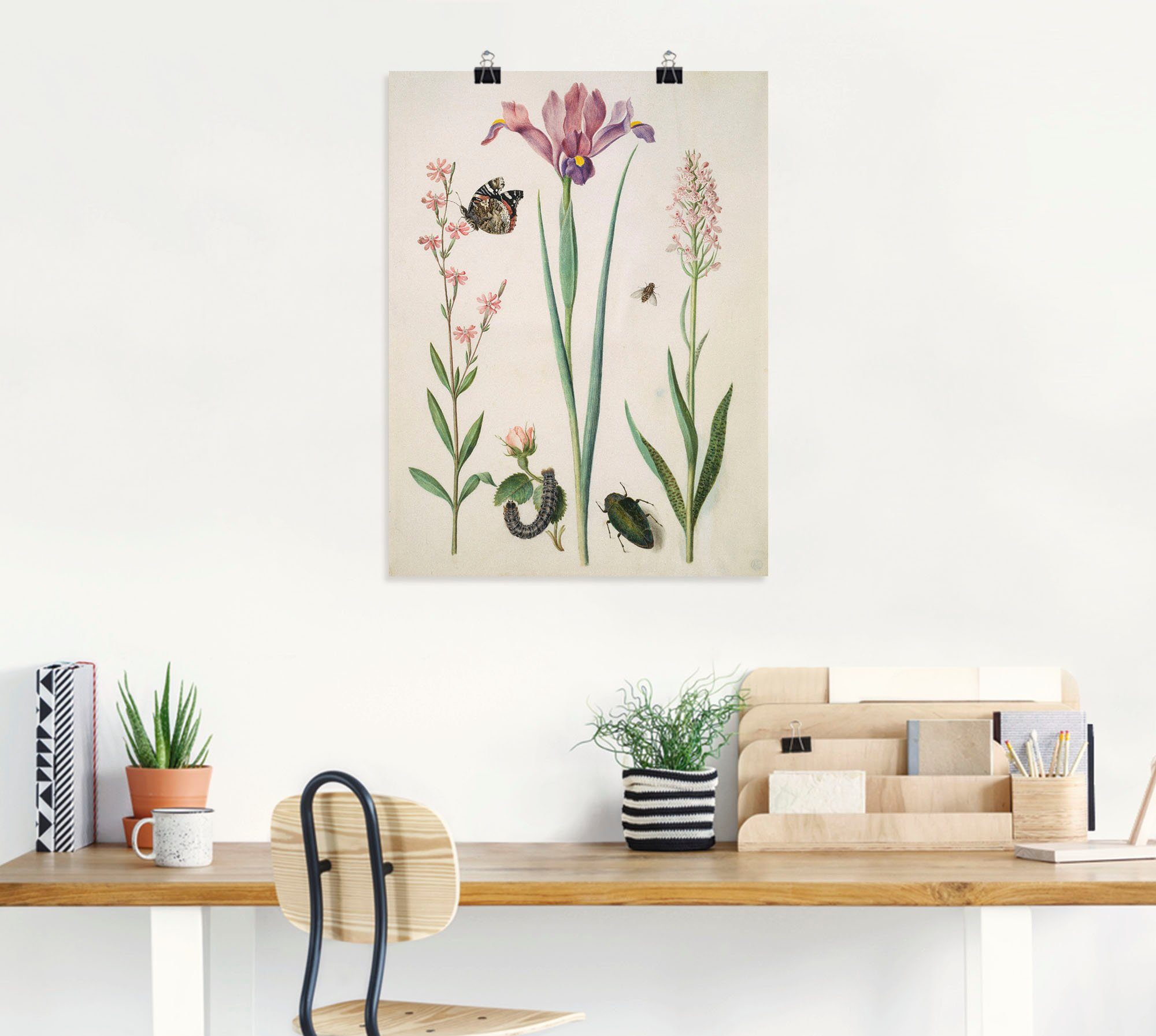 Artland Poster Admiral, Rose Iris Knabenkraut., Pflanzen (1 St), ohne Rahmen
