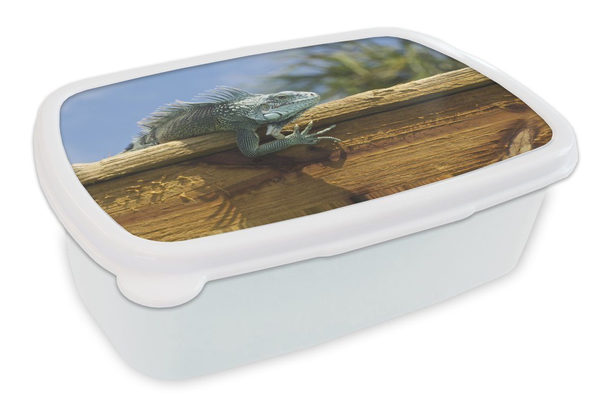 MuchoWow Lunchbox Darstellung eines Leguans auf Holz in Curacao, Kunststoff, (2-tlg), Brotbox für Kinder und Erwachsene, Brotdose, für Jungs und Mädchen weiß