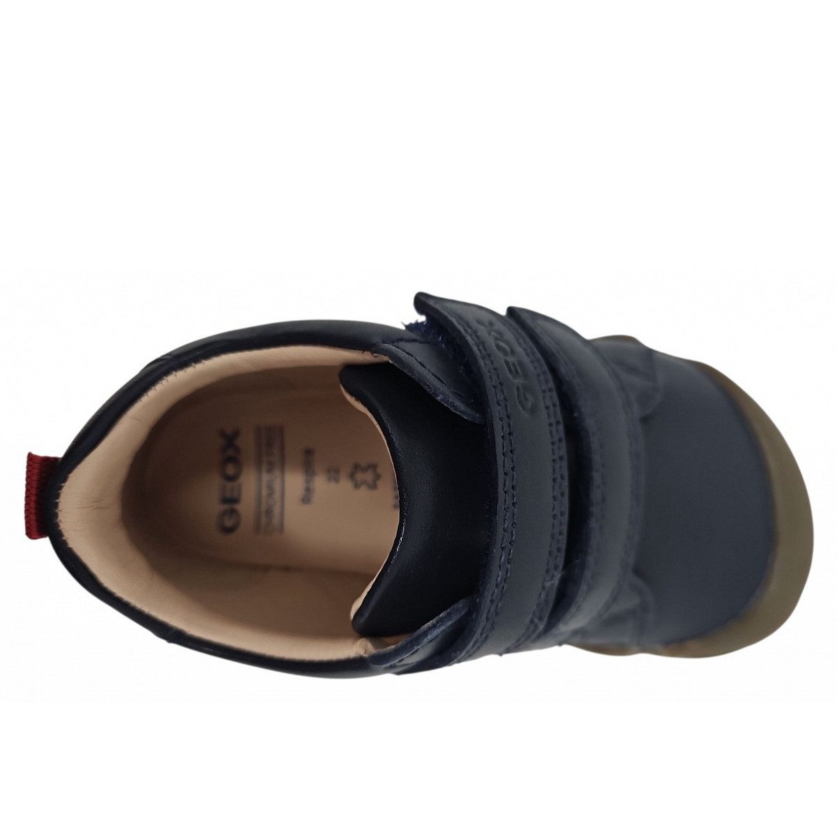 Geox Steppie Up Barefoot Lauflernschuh – Bild 2 von 3