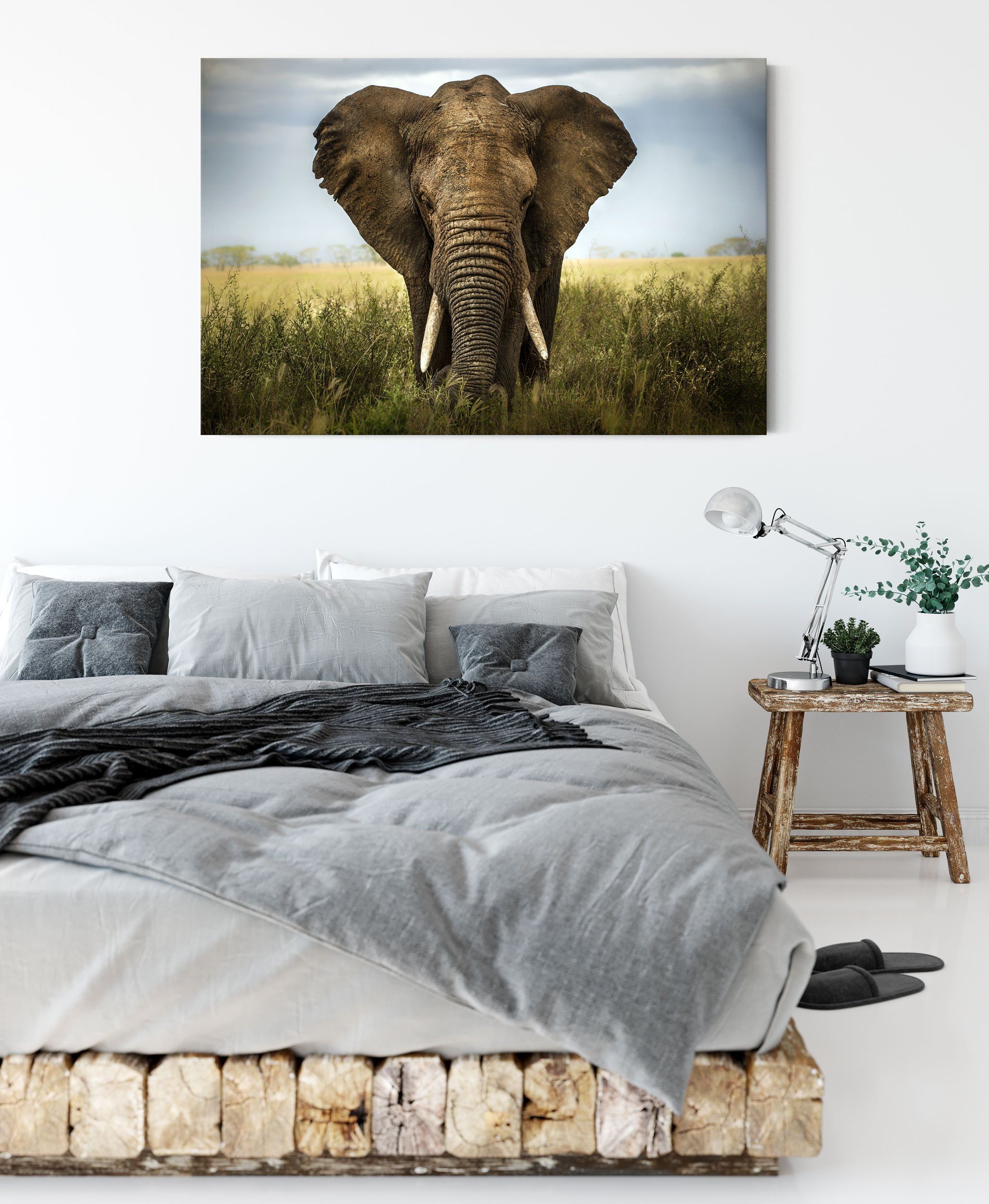 Pixxprint Leinwandbild Imposanter Elefant, Imposanter inkl. (1 Zackenaufhänger fertig Leinwandbild bespannt, Elefant St)