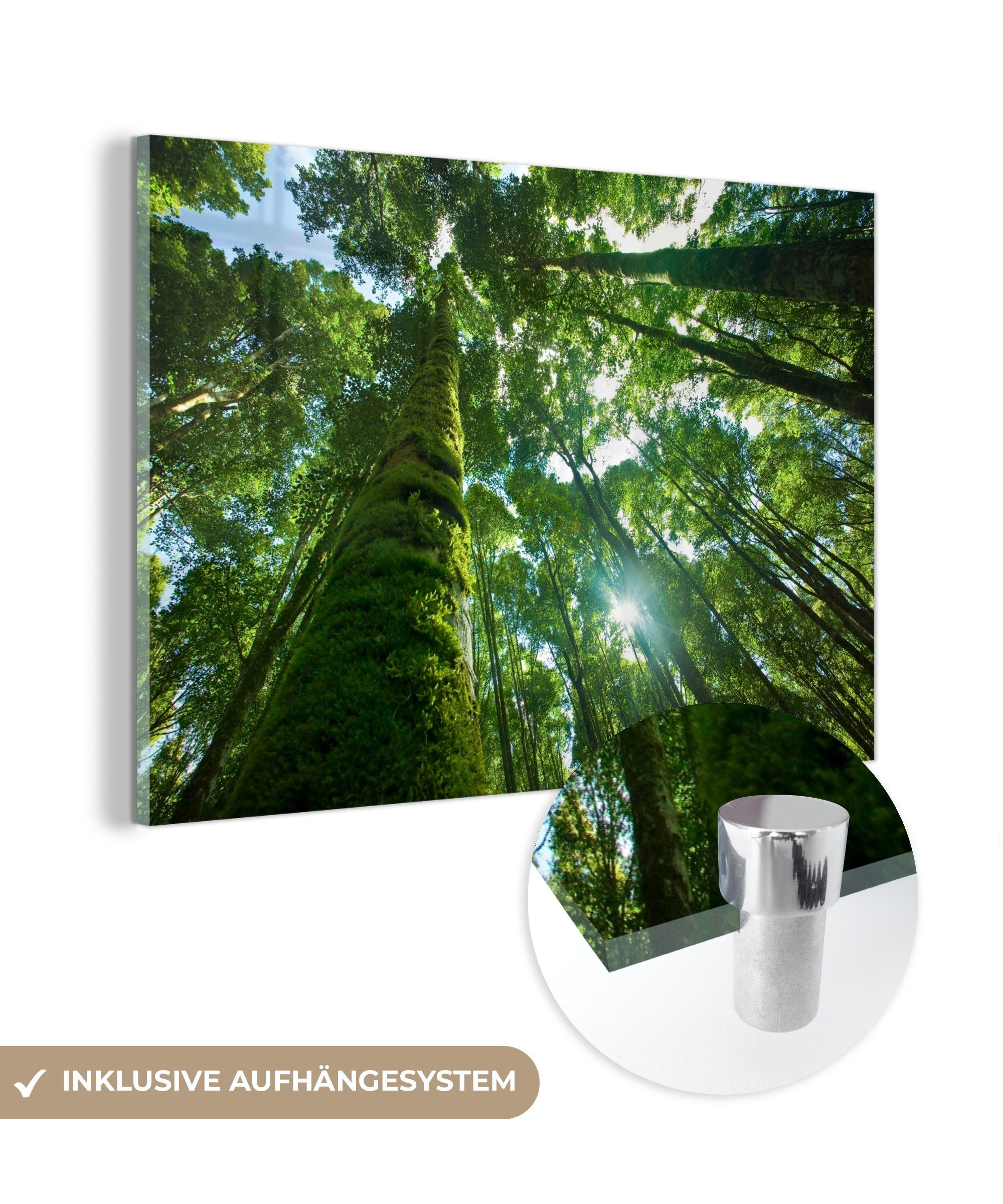 MuchoWow Acrylglasbild Tropischer Dschungel in Asien, (1 St), Acrylglasbilder Wohnzimmer & Schlafzimmer bunt