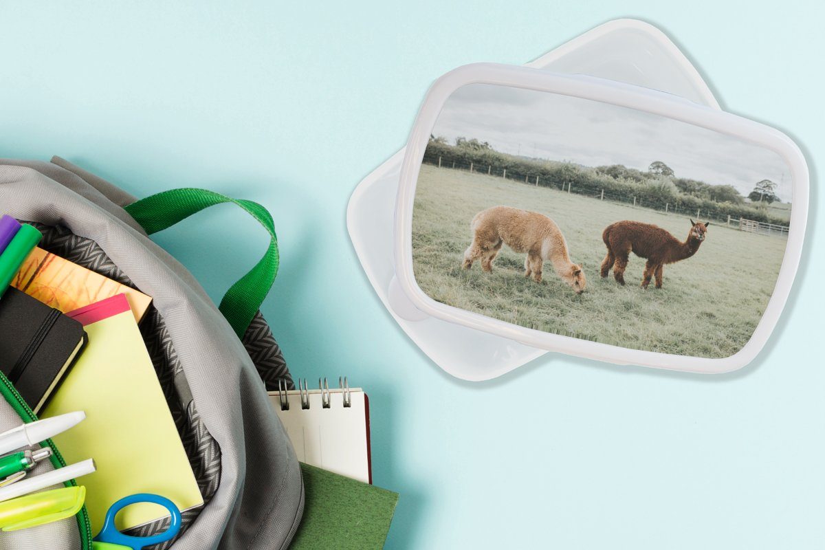 MuchoWow Lunchbox Alpakas - Tiere (2-tlg), und für Gras, Brotbox Brotdose, Mädchen Kunststoff, und - weiß Erwachsene, Kinder Jungs für