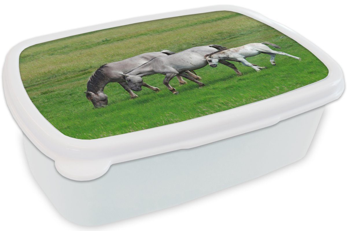 Erwachsene, Mädchen für Gras, Kunststoff, (2-tlg), MuchoWow - und - Kinder Brotdose, Pferde Jungs Brotbox für Tiere und weiß Lunchbox