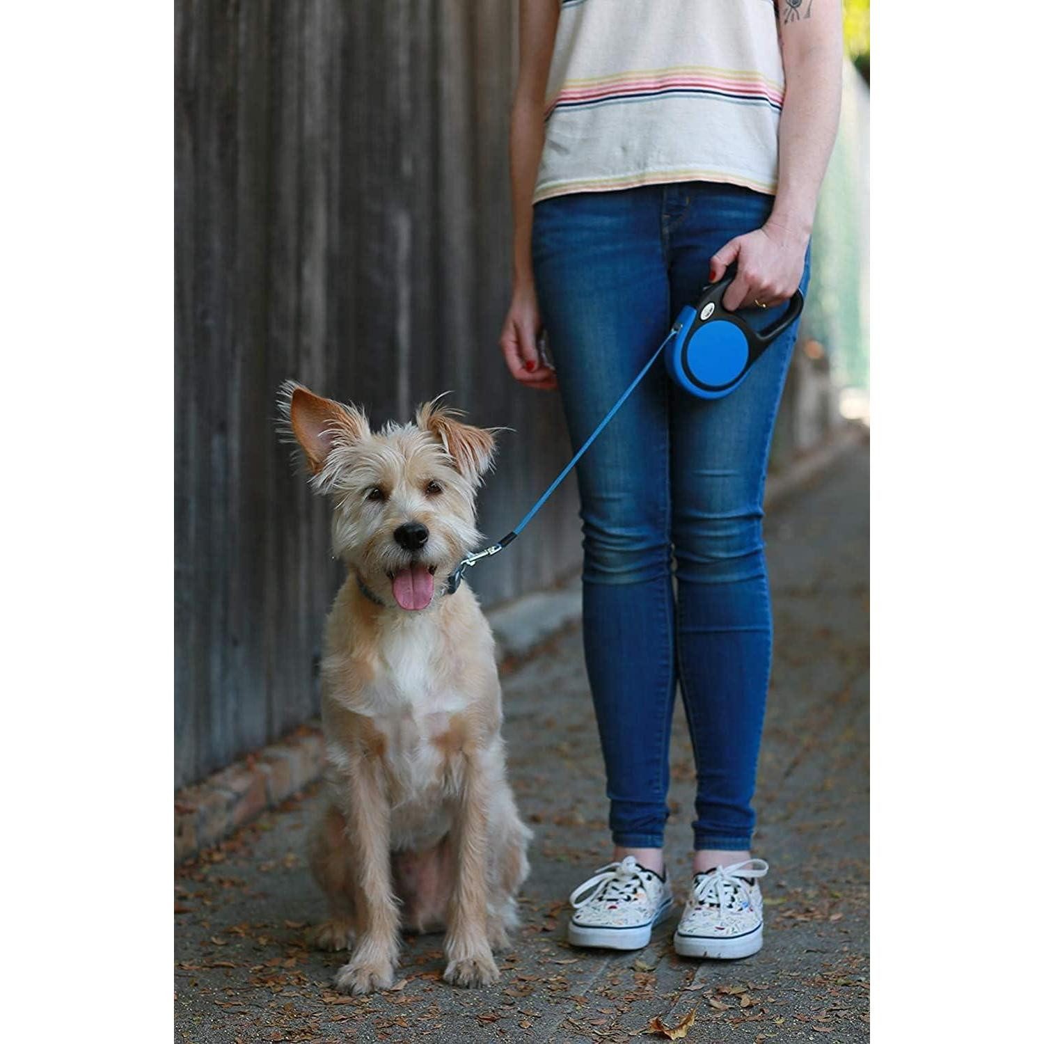 Taglory Rollleine Hundeleine Rollleine Ausziehbar 5m für Kleine Mittelgroße Hunde bis