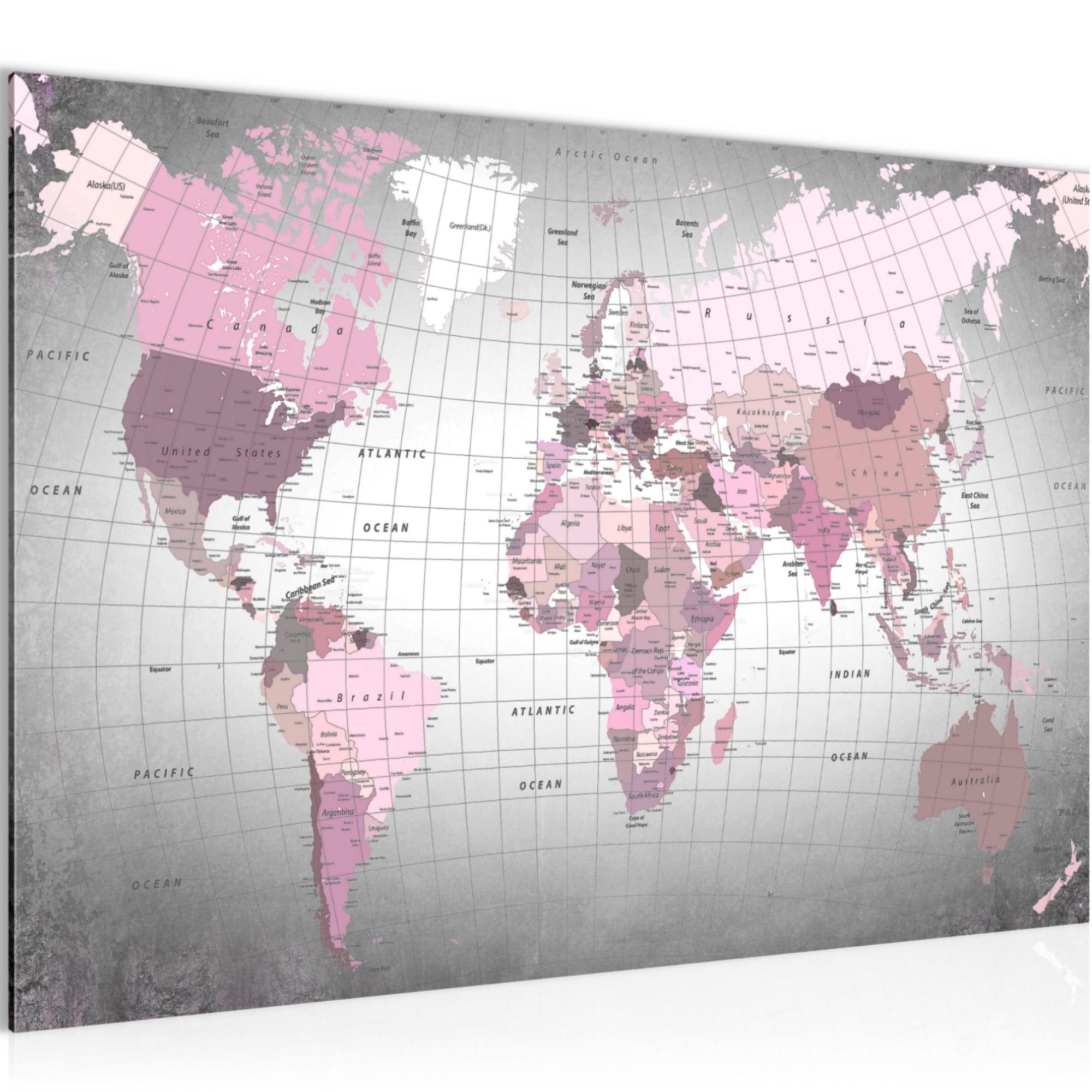 Runa Art Wandbild Bild Weltkarte Büro Kontinente Rosa Grau Flur 023315c, 60L x 40B cm
