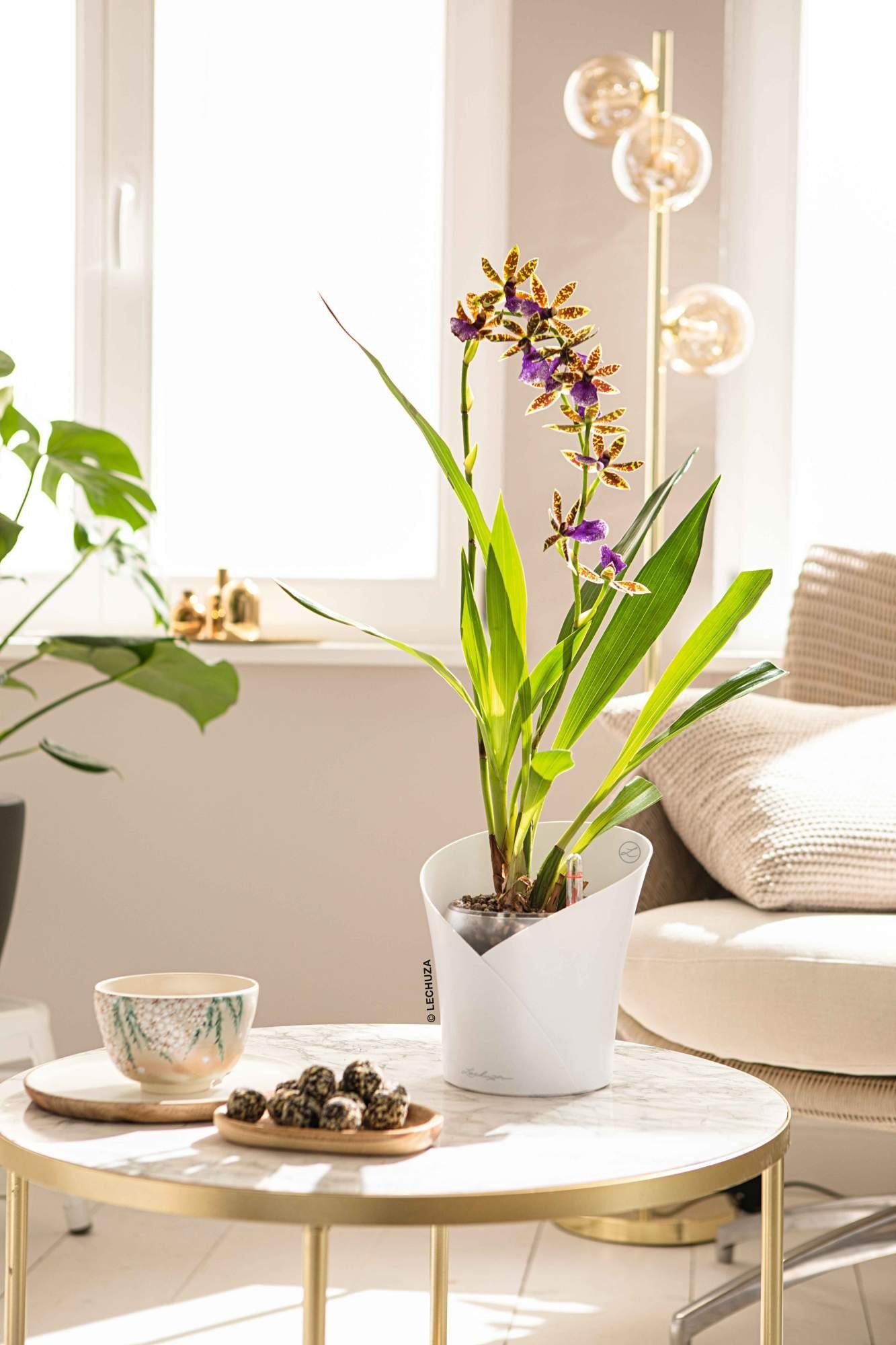 matt Lechuza® St) Orchidea Blumentopf weiß (1