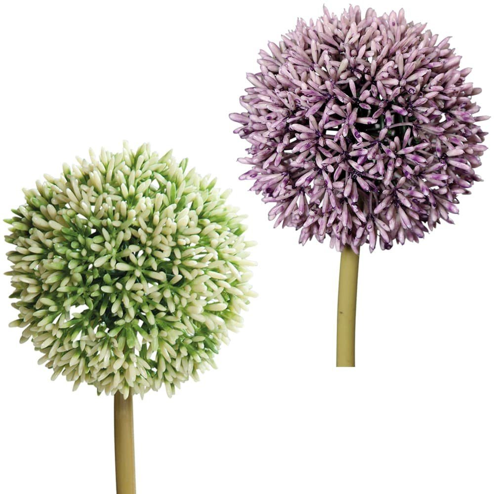 Kunstblumen matches21 cm Ø & Allium, Allium Kunstblume HOBBY, Kunststoff 11x67 weiß cm Höhe Lauchblüten HOME – 67