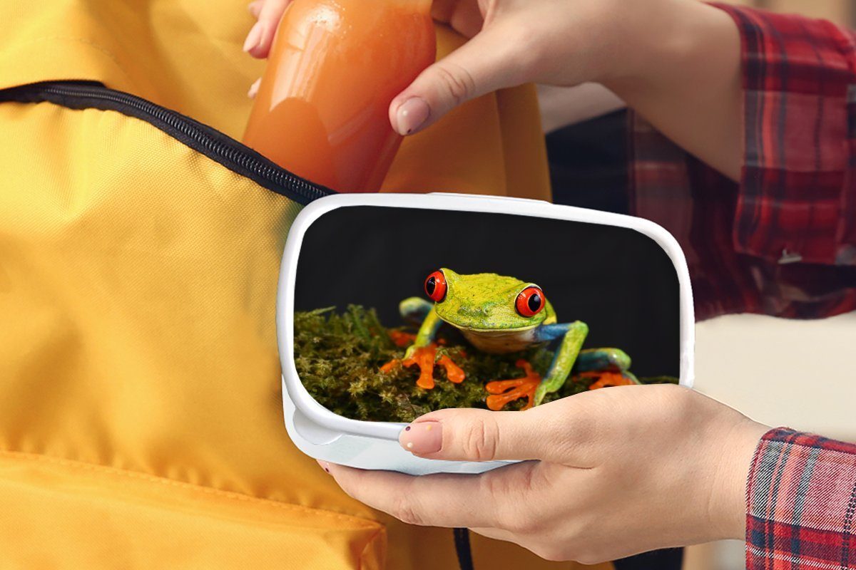 - Brotdose, - Frosch weiß MuchoWow Jungs Mädchen Kunststoff, (2-tlg), Erwachsene, Grün, und und - Augen Brotbox Kinder Lunchbox für für Rot