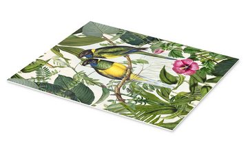 Posterlounge Forex-Bild Andrea Haase, Tropische Vögel III, Vintage Illustration