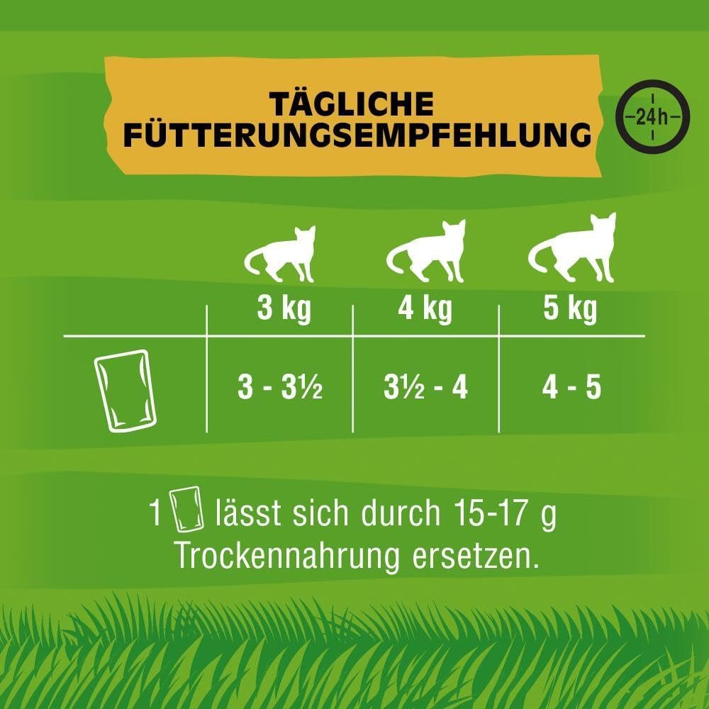 Kitekat KITEKAT™ Portionsbeutel Multipack Markt Mix in Gelee 12 x 85g, für: Katze