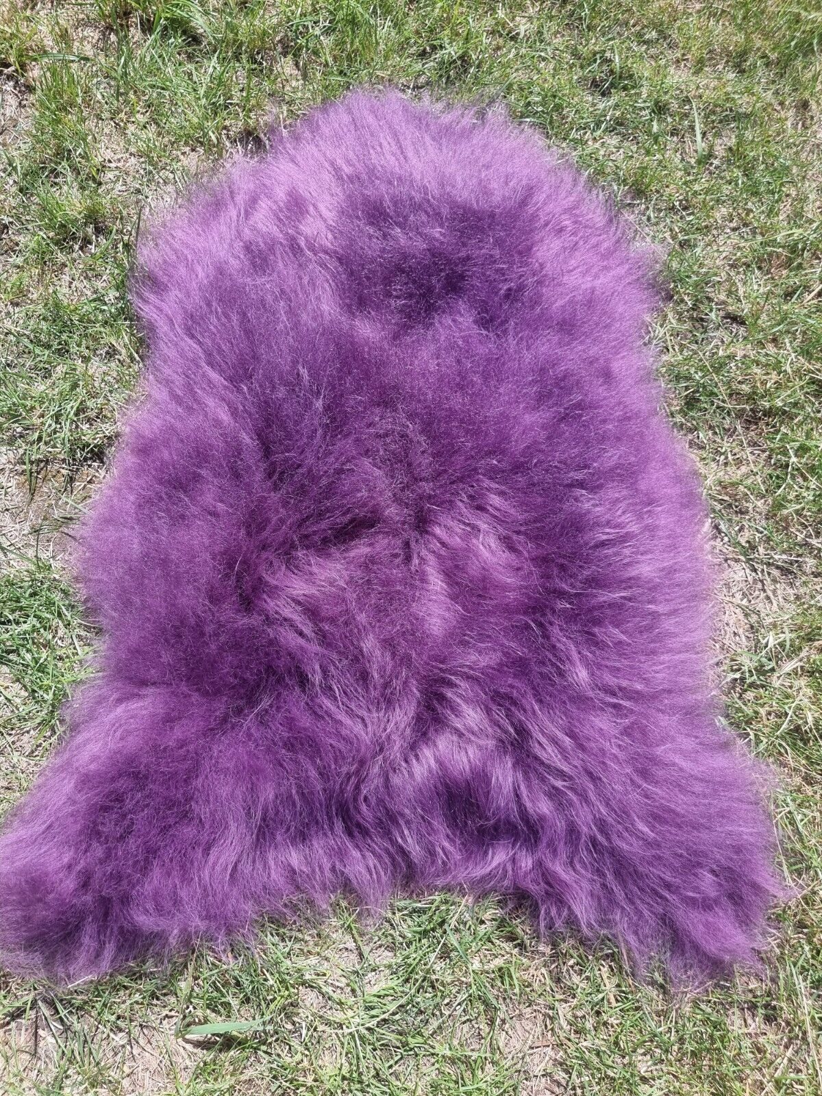 Provellus Fellteppich Premium Island Lammfell Schaffell Bunt Gefärbt Weich Fell Teppich, 30x30cm eckig