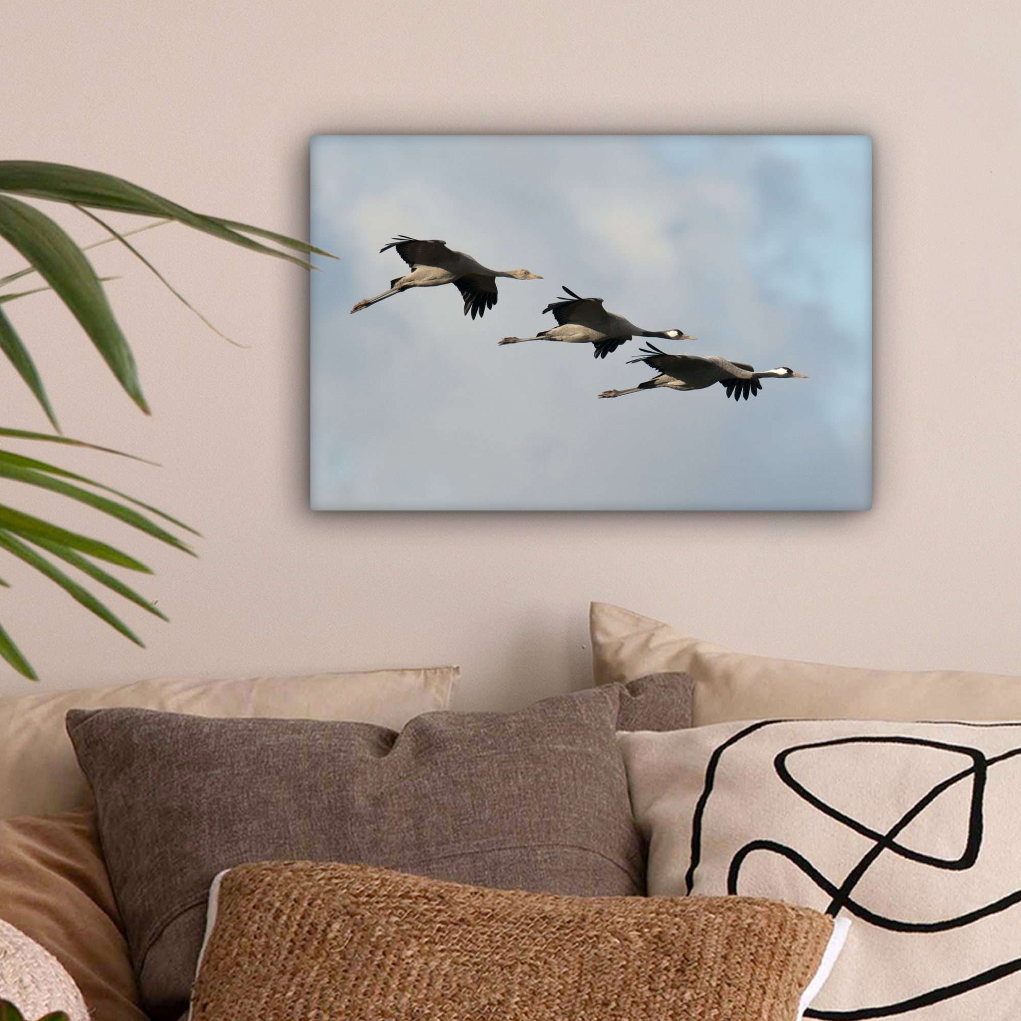 (1 Wandbild auf Kraniche Wanddeko, Drei spektakuläre 30x20 Aufhängefertig, St), durch cm Leinwandbild Luft, OneMillionCanvasses® fliegen Leinwandbilder, die Weise