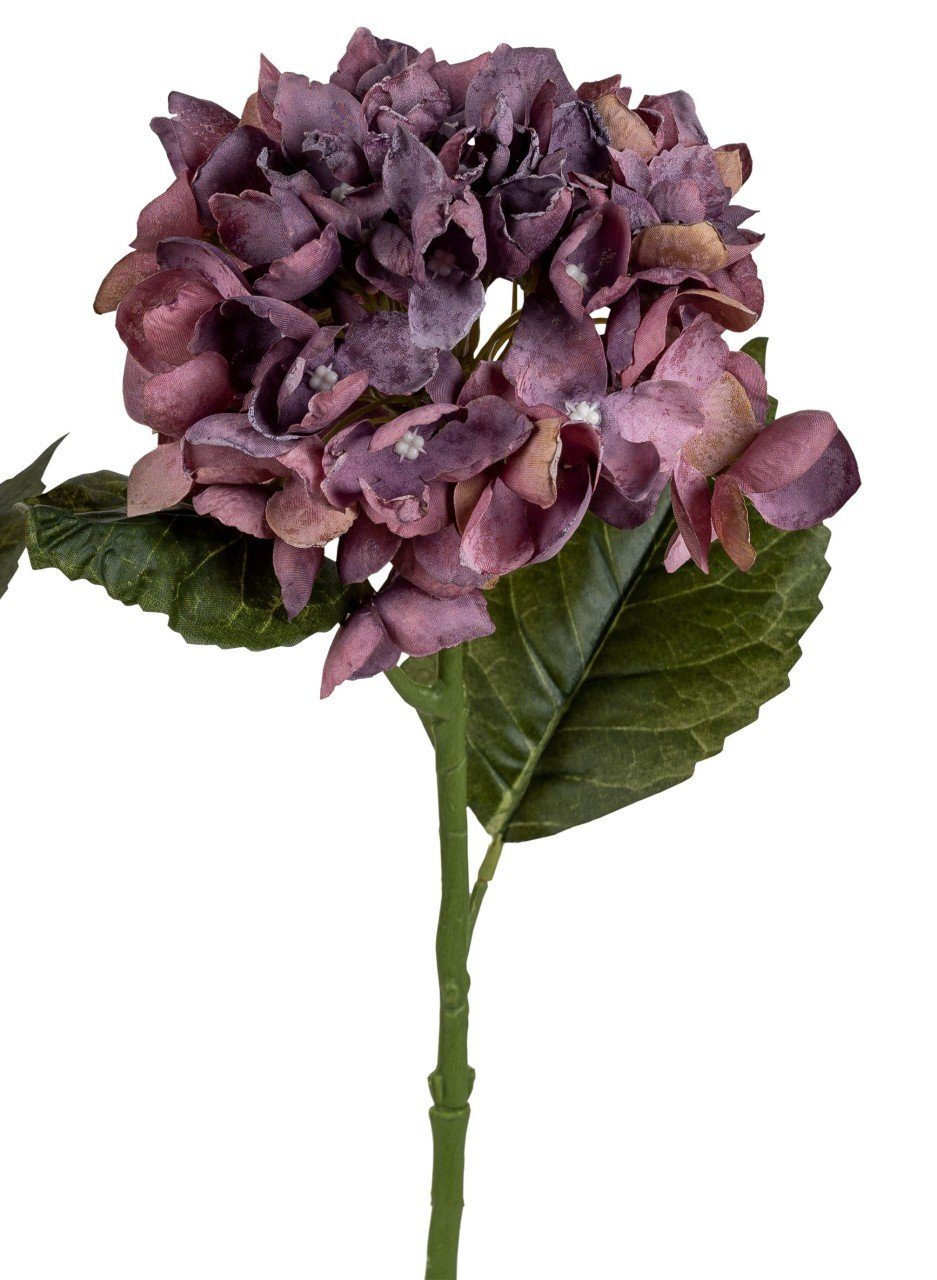 Kunstblume, formano, Höhe 54 cm, Lila H:54cm Kunststoff
