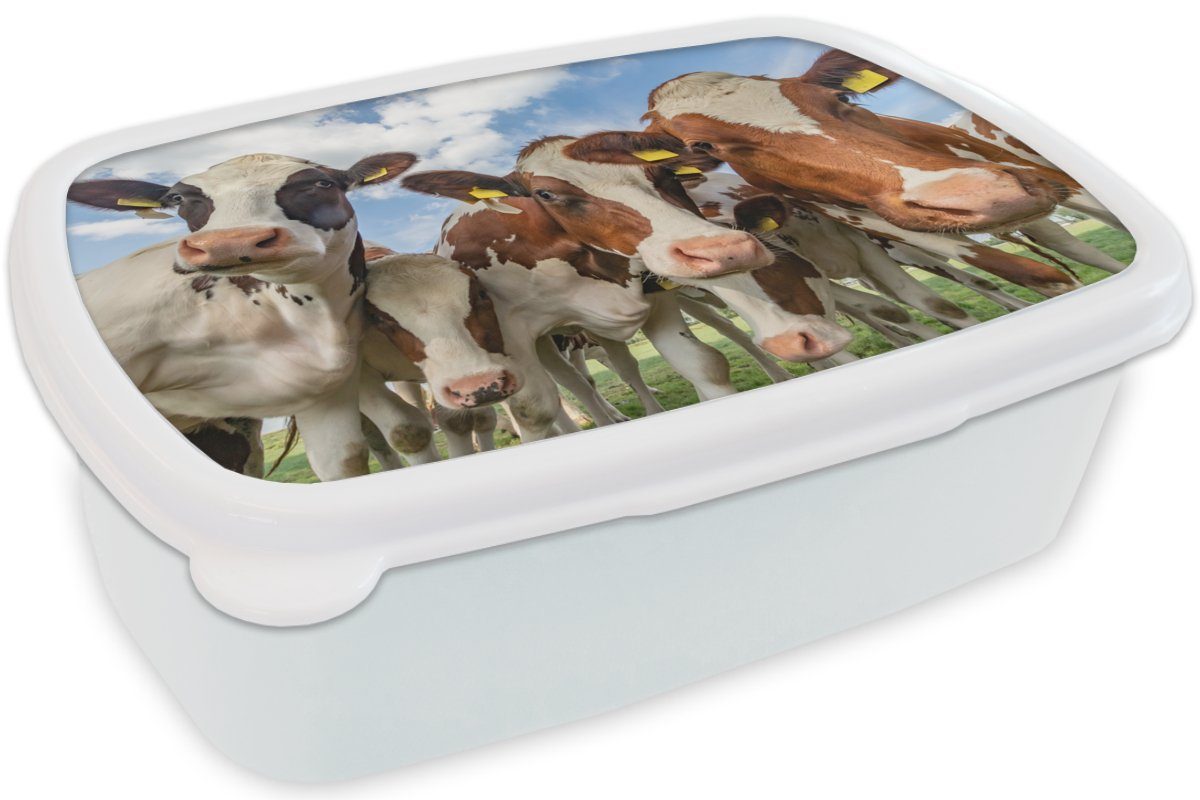 MuchoWow Lunchbox Kühe - Tiere Natur, Kinder für Jungs - weiß Wiese und Kunststoff, Brotdose, Brotbox Erwachsene, und Mädchen für - (2-tlg)