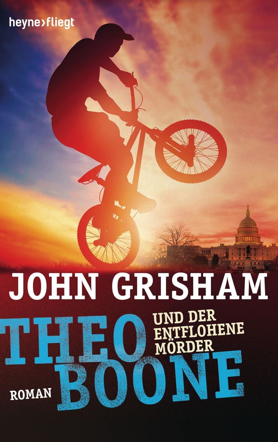 Theo Boone und der entflohene Mörder / John Grisham, Band 5