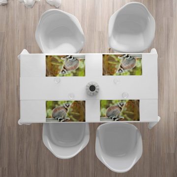 Platzset, Waschbare Stoff Esszimmer Küche Tischdekorations Digitaldruck, Abakuhaus, (4-teilig, 4 Teilig-St., Set aus 4x), Lemur Aperture Foto Säugetier Tier