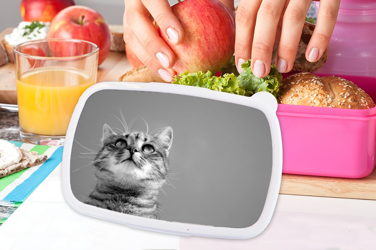 MuchoWow Lunchbox Katze - (2-tlg), Luft - Kinder, Mädchen Kunststoff, - Jungen Snackbox, - Brotdose Mädchen, Erwachsene, Kunststoff Brotbox für Kinder, Braun rosa 