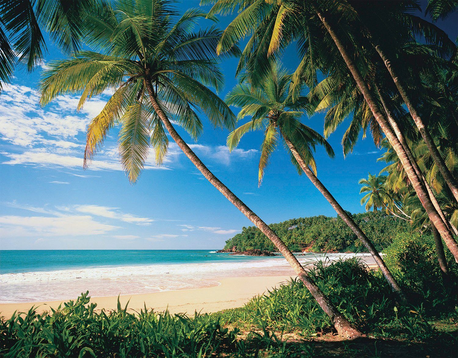 Fototapete Palmbeach