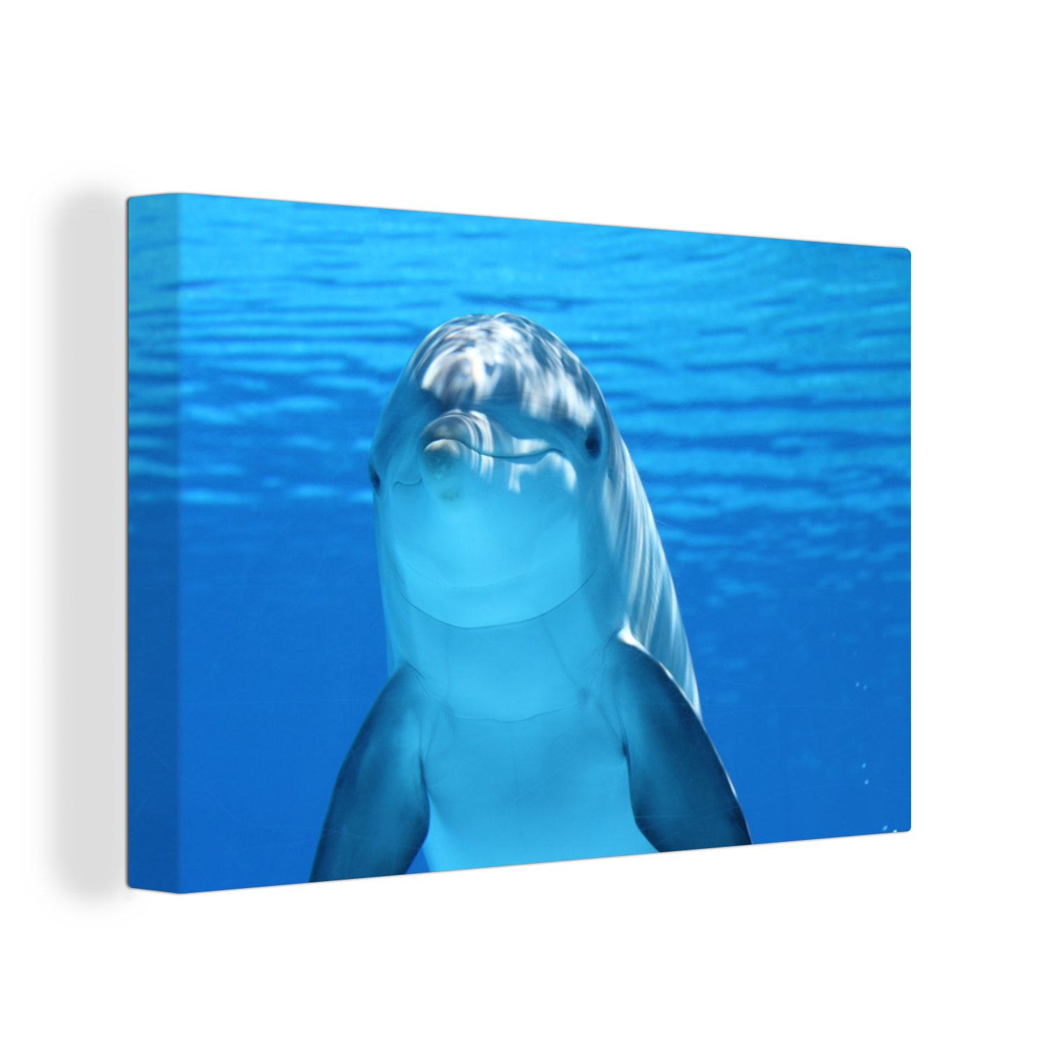 (1 St), Wasser - - 30x20 Wandbild OneMillionCanvasses® Delfin Wanddeko, Aufhängefertig, cm Leinwandbild Blau, Leinwandbilder,