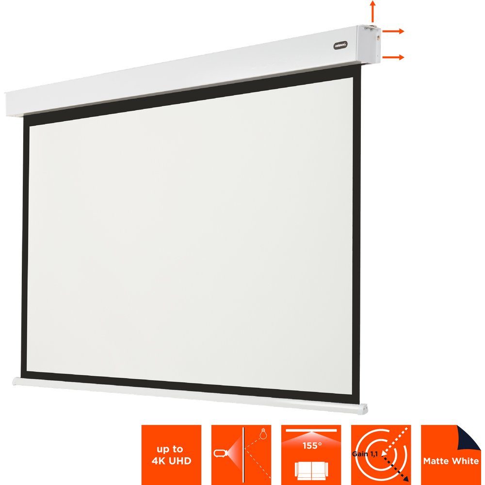 Celexon Professional Plus Motorleinwand (black_backside)