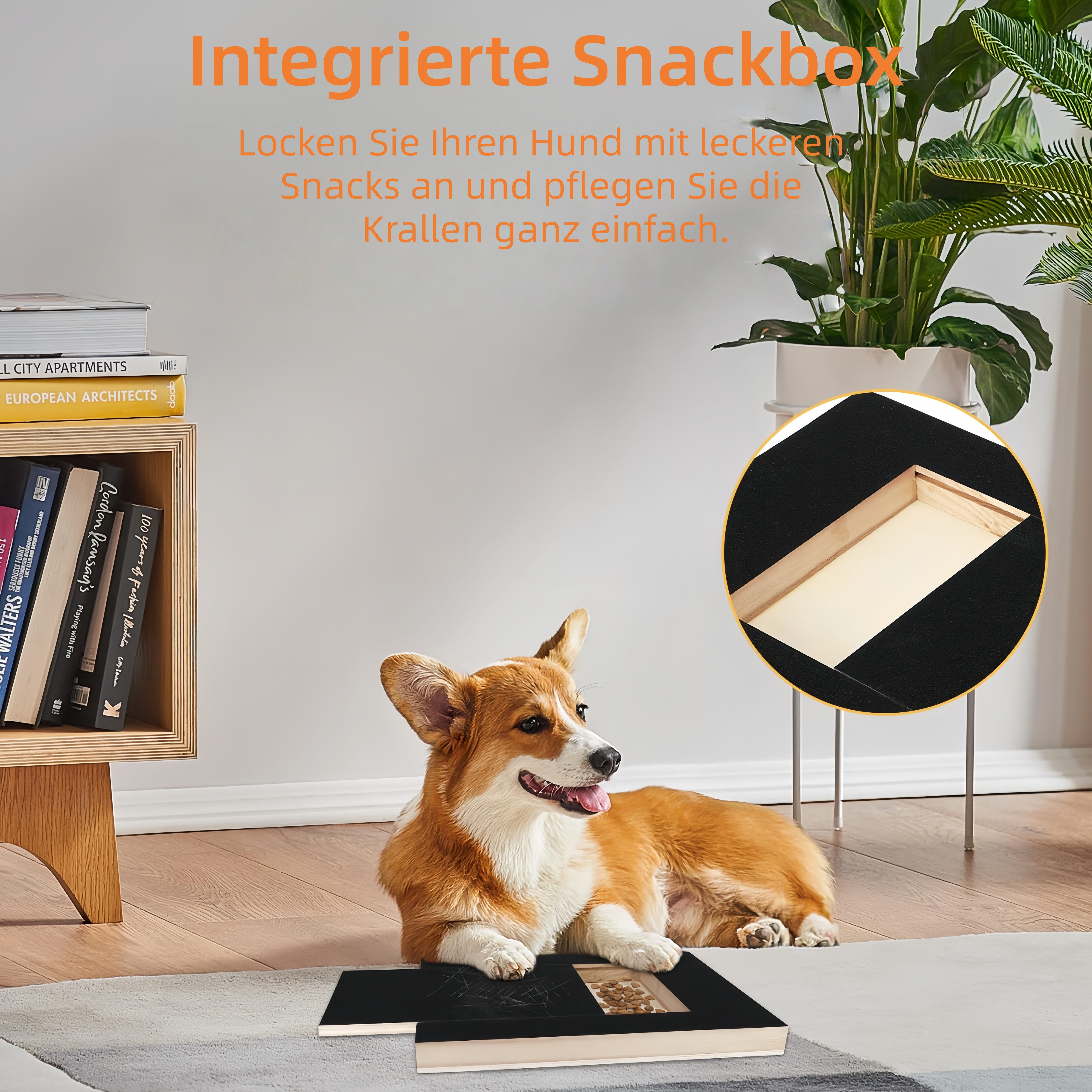FOUORTUNATE-BEE Kratzbrett Hunde-Kratzbrett-Set mit Futterbox & 2 Ersatz-Schleifpapieren, Krallenpflege-Set für Hunde inkl. Snackbox und Ersatzpapier