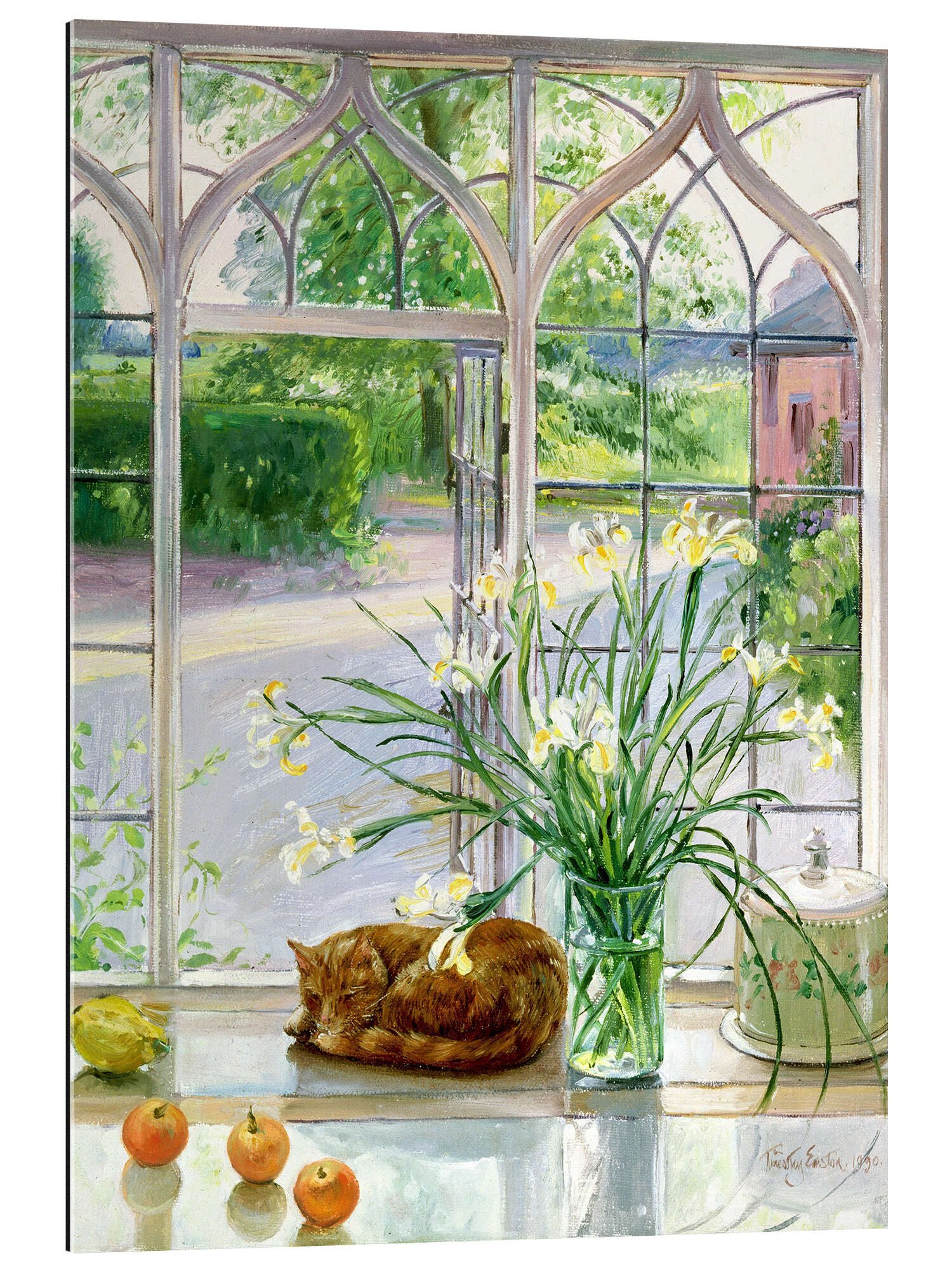 Posterlounge Wandbild Schlafende Katze im Fenster, Timothy Easton, erhältlich als Poster, Leinwandbild, Wandsticker oder Acrylglasbild