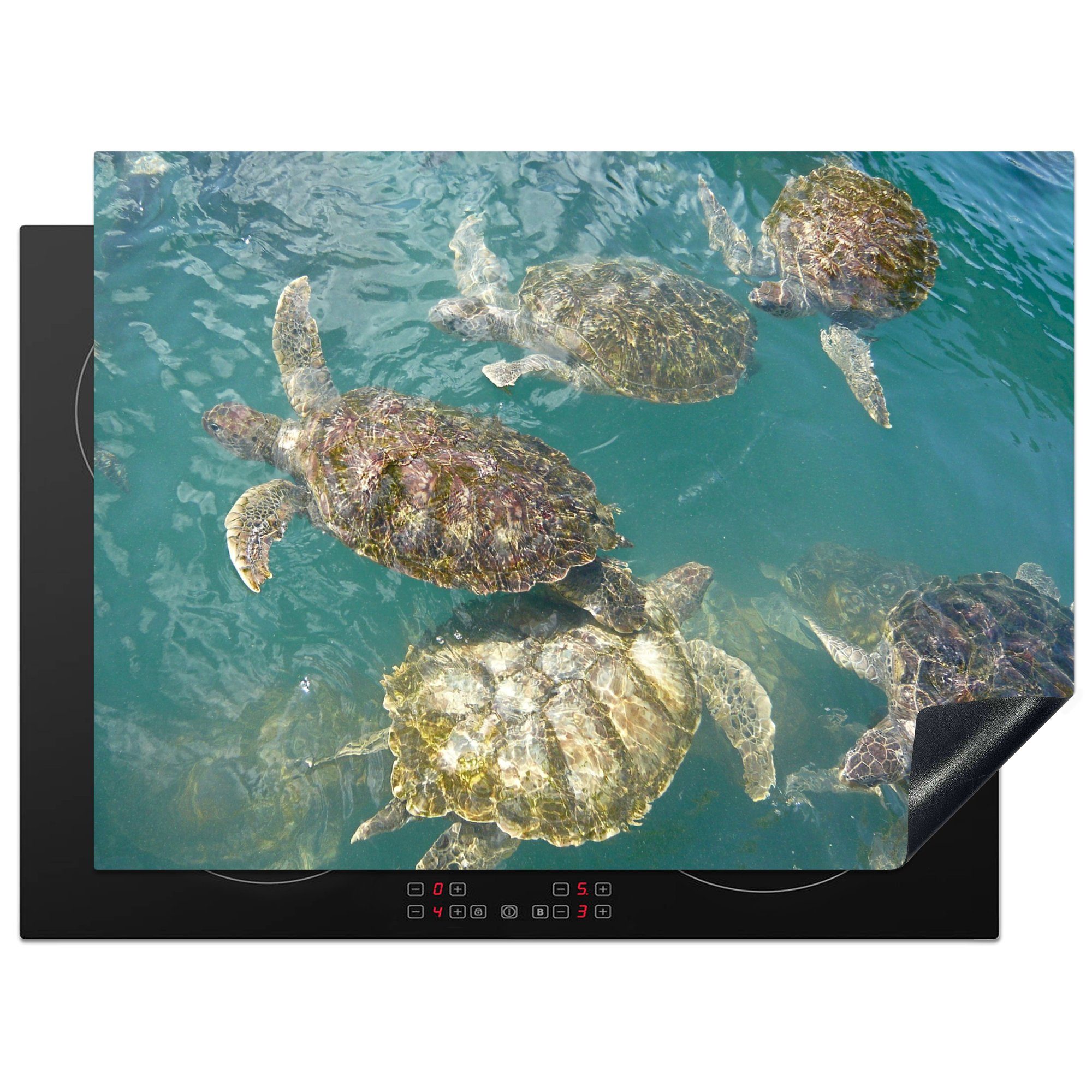 MuchoWow Herdblende-/Abdeckplatte Schildkröten schwimmen gemeinsam im klaren blauen Wasser vor Grand, Vinyl, (1 tlg), 70x52 cm, Mobile Arbeitsfläche nutzbar, Ceranfeldabdeckung
