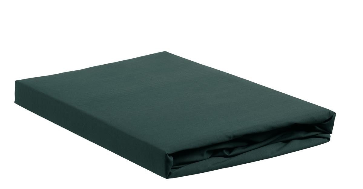 Ambiante Spannbettlaken Spannbettlaken Baumwoll Uni HL Dark Green 200x200 grün, Baumwolle, Gummizug: Rundum, (1 Stück), Spannbettlaken Spannbetttuch Laken mit Gummizug