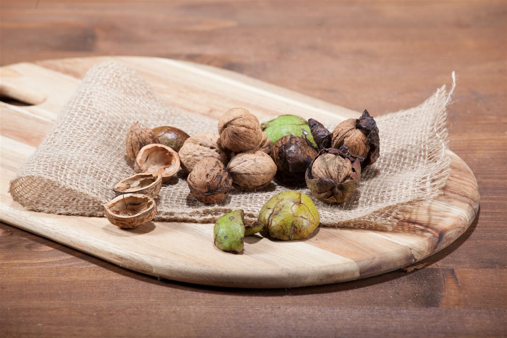 Pflanzen für Dich Baum Juglans regia, 1 St., Walnuss, Echte Walnuss, Gemeine Walnuss, essbare Nüsse, großwüchsig
