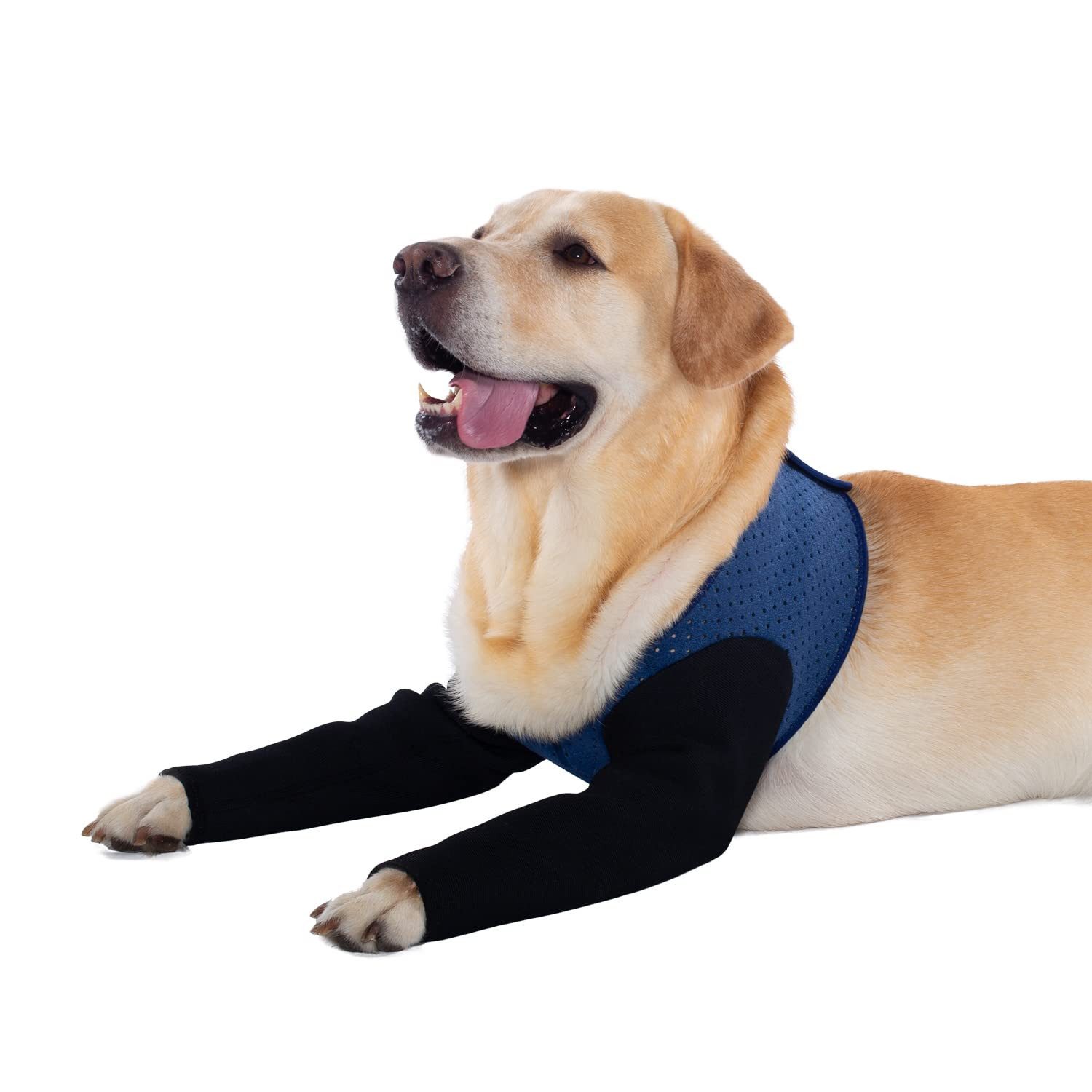 Ledander Stützbandage Hunde-Genesungsmanschette,Vorderpfotenschutz, Ellenbogenbandage, Alternative zum Kegelhalsband,waschbar, 2,5 mm dick, wasserdicht