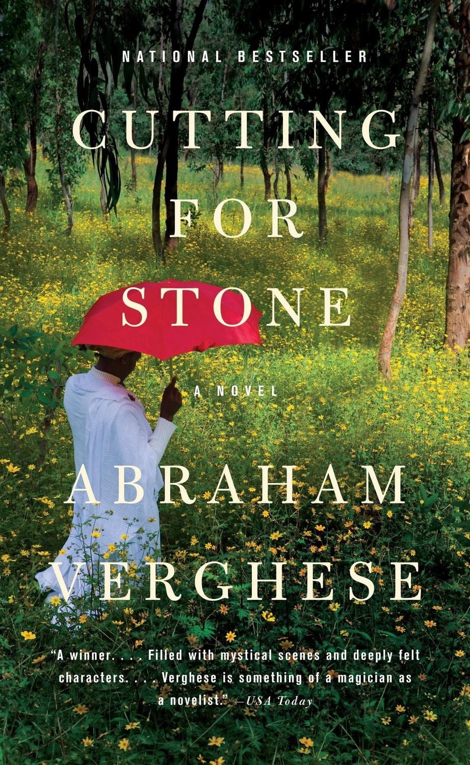 Cutting for Stone / Abraham Verghese