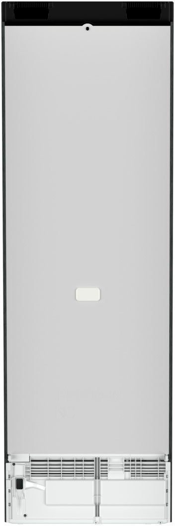 Liebherr Kühlschrank RBbsc hoch, cm 185,5 cm mit breit, 59,7 5250-20, BioFresh