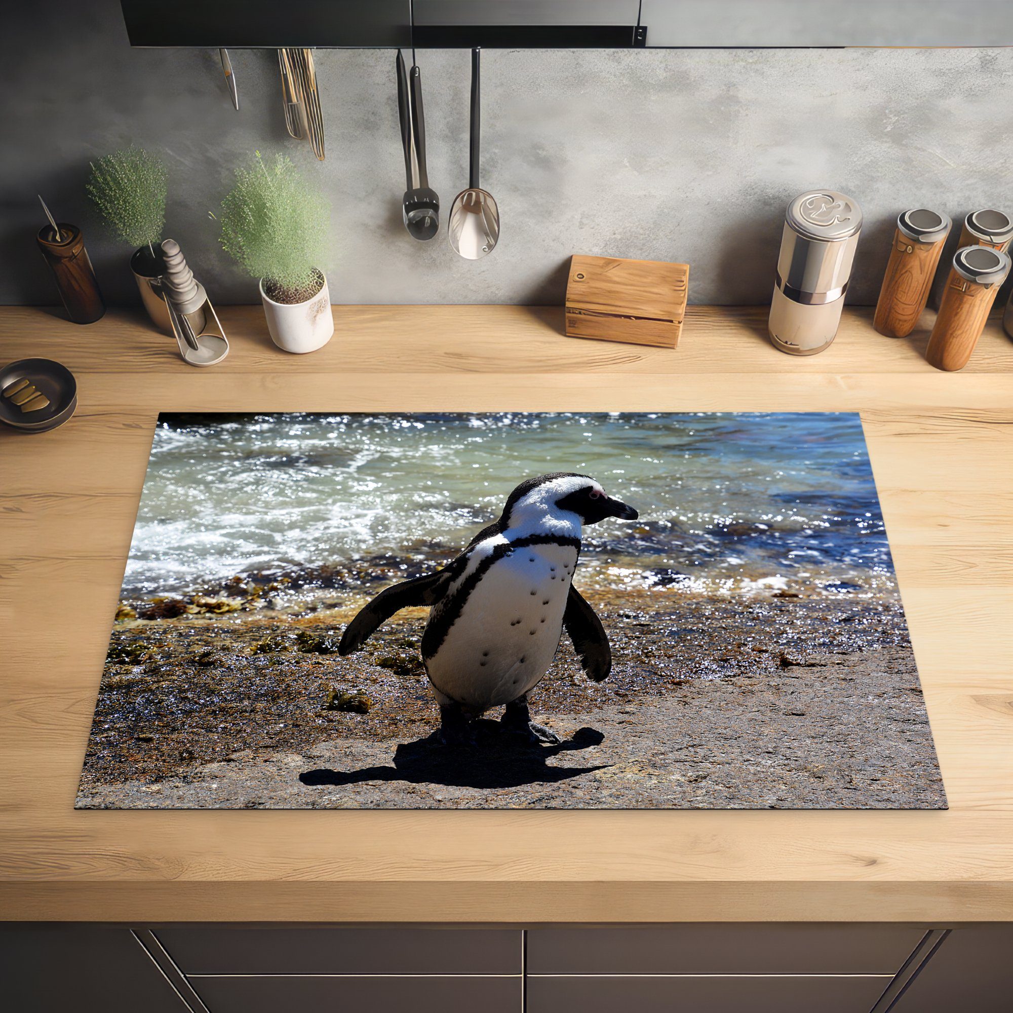 MuchoWow Herdblende-/Abdeckplatte Humboldt-Pinguin in für schlängelt Strand Ceranfeldabdeckung cm, (1 küche, 81x52 den Induktionskochfeld Peru, Vinyl, die über tlg), Schutz sich