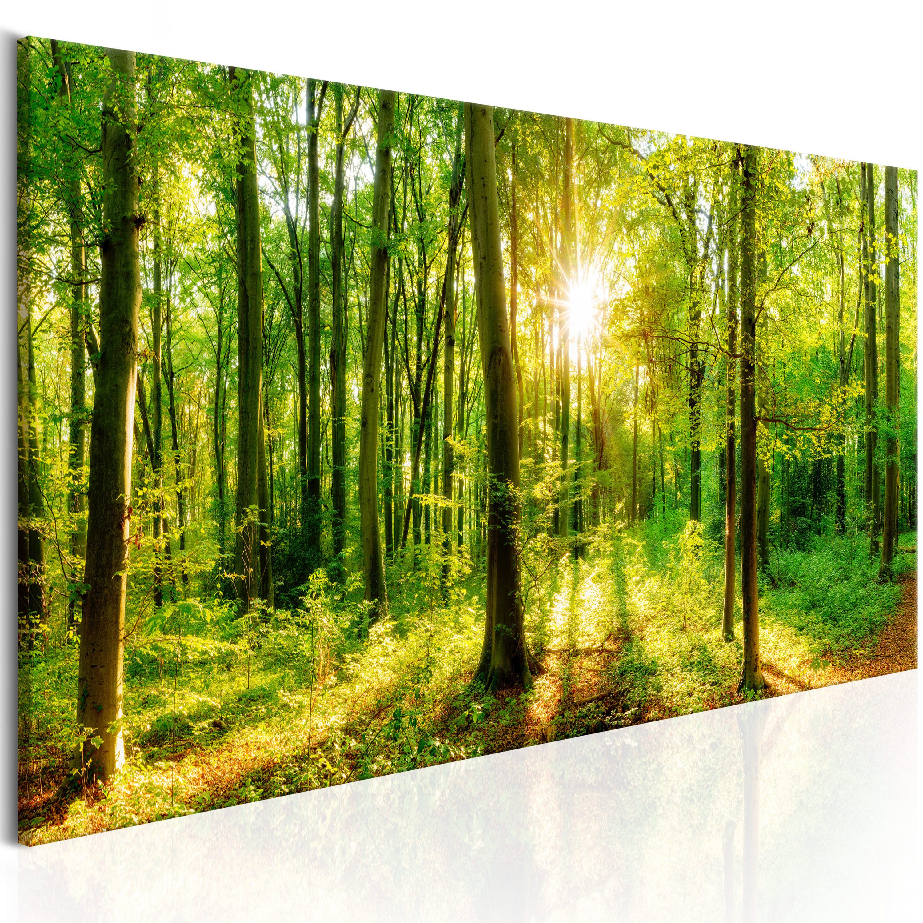 Artgeist Wandbild Green Magic