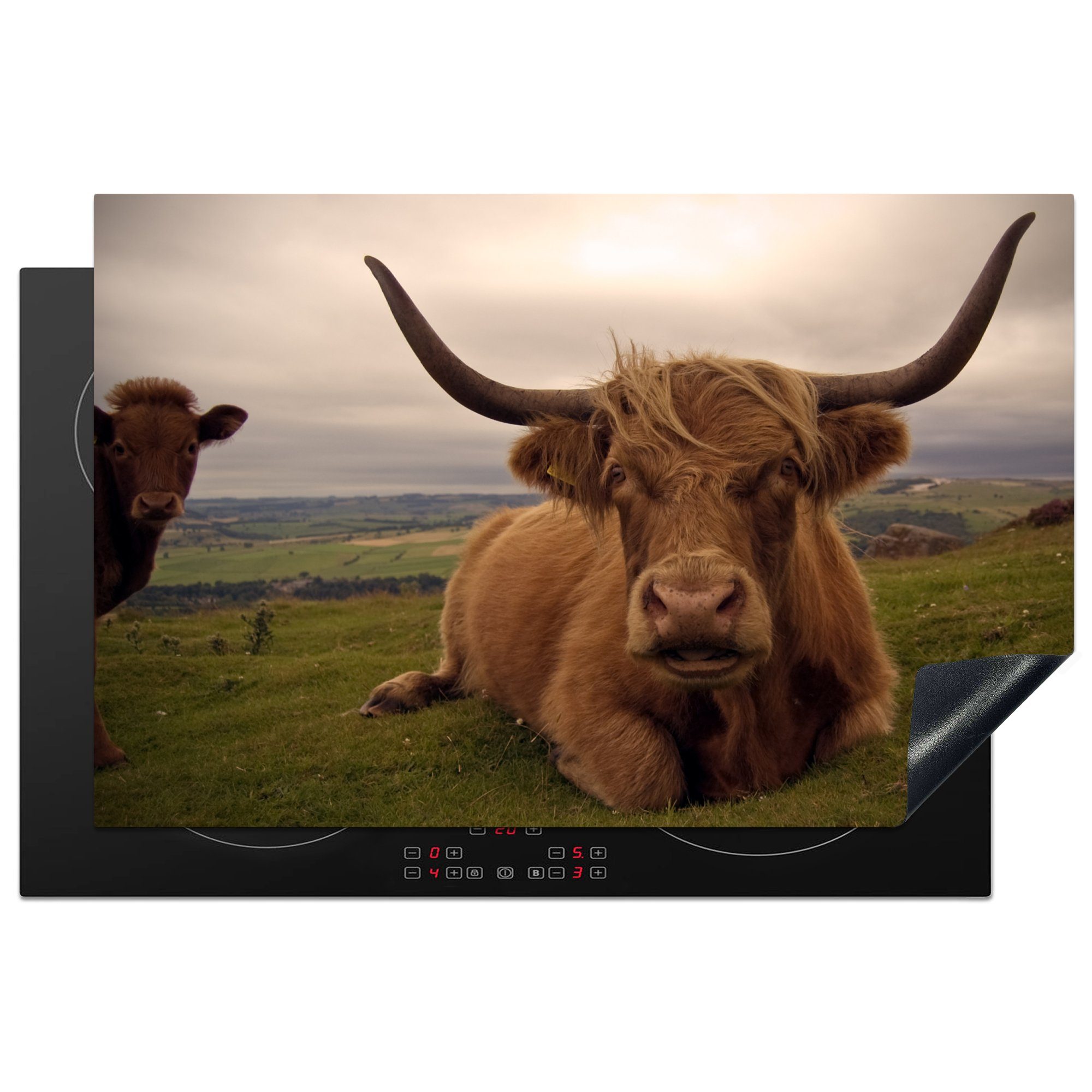 MuchoWow Herdblende-/Abdeckplatte Schottischer Highlander - Tiere - Berg, Vinyl, (1 tlg), 81x52 cm, Induktionskochfeld Schutz für die küche, Ceranfeldabdeckung