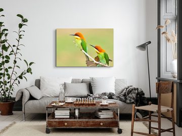 Sinus Art Leinwandbild 120x80cm Wandbild auf Leinwand Kastanien Köpfiger kleine Vögel Tierfot, (1 St)