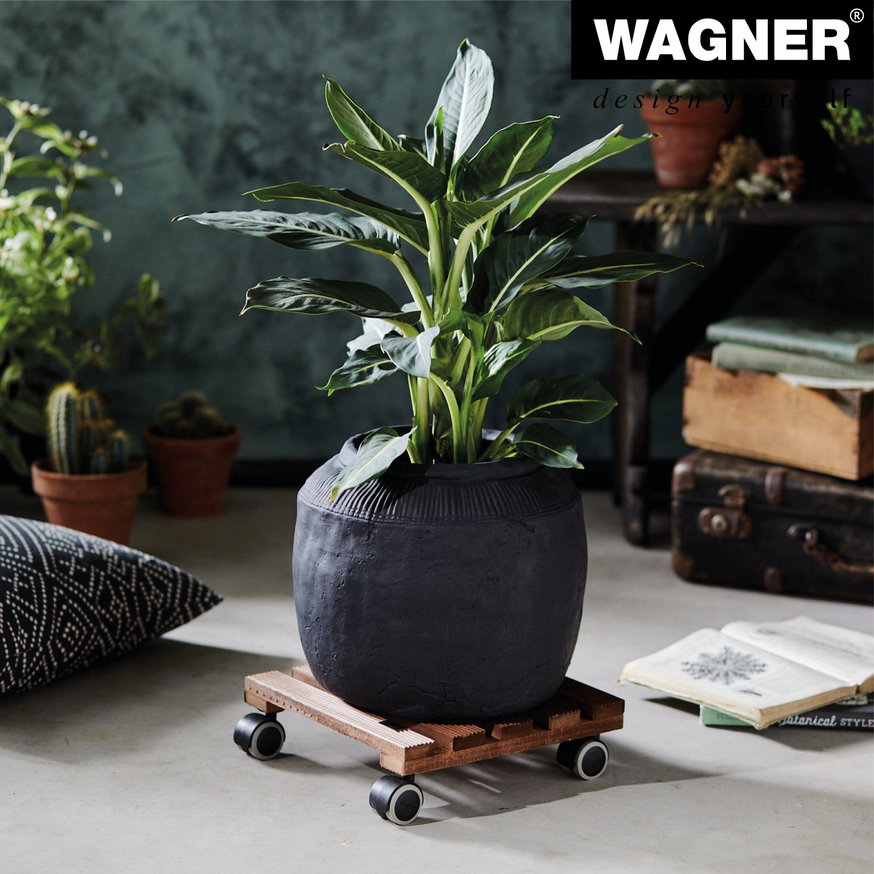 WAGNER design yourself Pflanzenroller COUNTRY in diversen Größen I für Innenbereich I rund und eckig I aus FSC® Massivholz, geriffelt, diverse Farben I Tragkraft 100 kg - Made in EU
