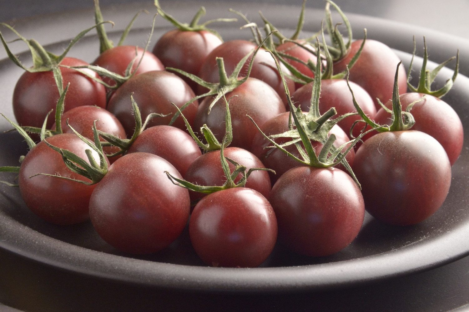 SAFLAX Gemüsesamen SAFLAX - Samen und Substrat - BIO - Tomate - Black Cherry – Bild 5 von 5